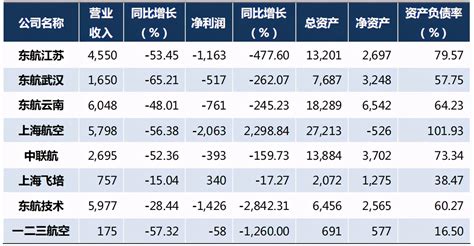 中国航空公司排名 (2023国内三大航空公司排名） - 拼客号
