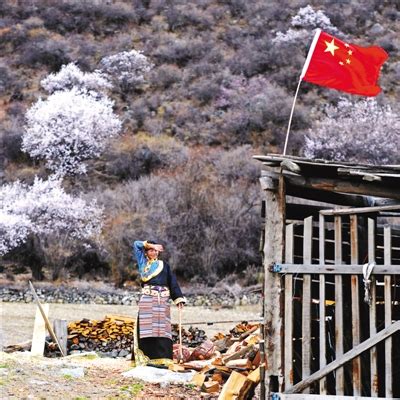 西藏林芝市累计完成32个生态安全屏障项目建设_中国网