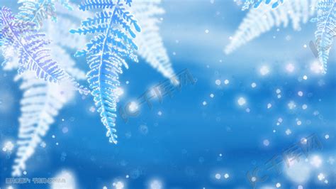 二十四节气霜降冰雪树叶树枝插画图片-千库网