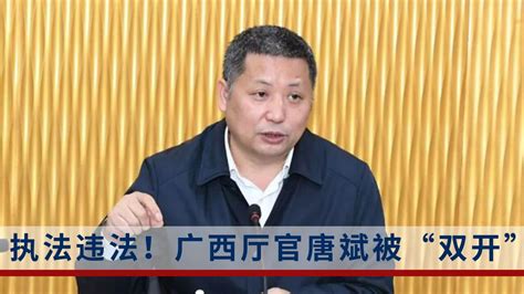 今年广西被查的第二个厅官！唐斌被“双开”：知法犯法，执法违法！_腾讯视频