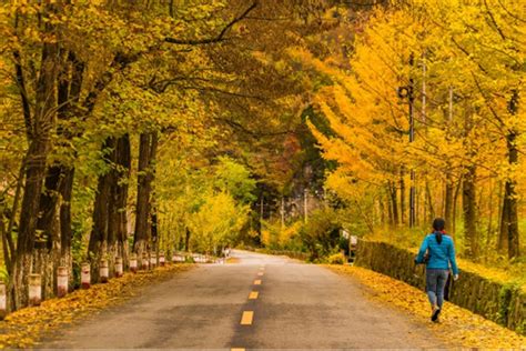 秦岭深处的两条绝美赏秋自驾路线，承包了最撩人的秋色_国家旅游地理_探索自然 传播人文 愉悦身心