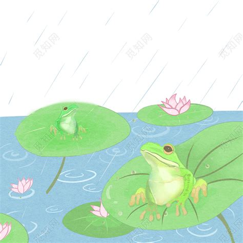 夏天夏日节气池塘边的青蛙图片素材免费下载 - 觅知网