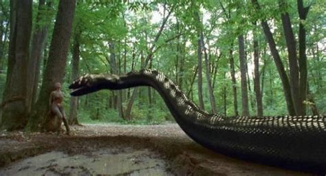 史前巨兽泰坦巨蟒，世界上最大的蛇，可以和恐龙一较高下|泰坦|巨蟒|恐龙_新浪新闻