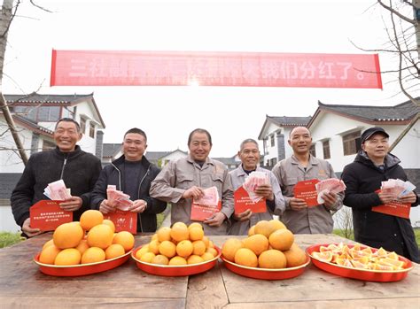 助力乡村振兴，安化县平口镇成立首家生态农业合作社联合社-三湘都市报