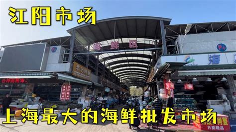 上海最大的水产批发市场，江阳市场，啥都有大上海果然不一样_腾讯视频