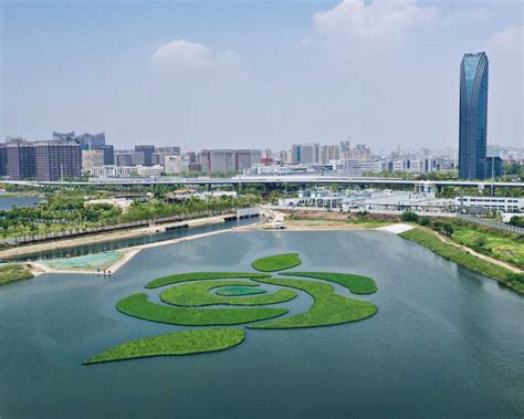 经济日报：鱼翔浅底重现！武汉最大城中湖汤逊湖治理初见成效