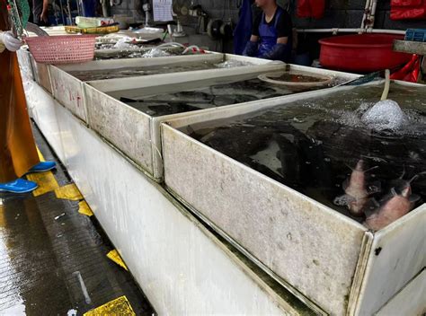 广州黄沙水产市场实行商品计量不足先行赔偿机制，守护市民“菜篮子”