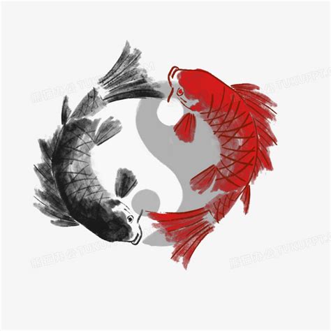 太极鱼图片