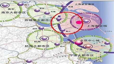 中国五大城市群的城市产业地图（一）长三角城市群产业分工布局