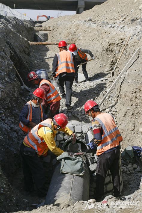 高端网站建设