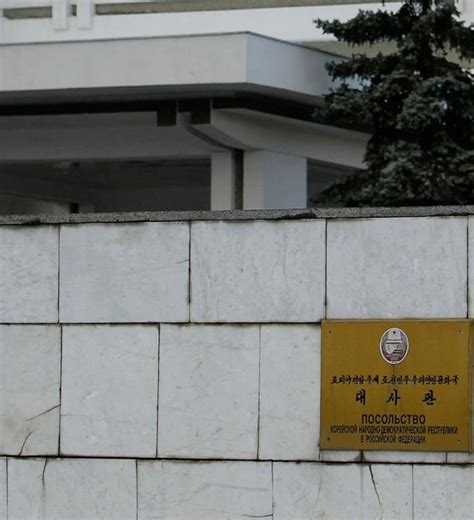 朝鲜驻俄大使馆：俄外交部无任所大使访问平壤 - 2017年7月26日, 俄罗斯卫星通讯社