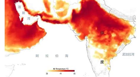 印度高温天气持续 烈日炎炎下亚穆纳河河床开裂干涸