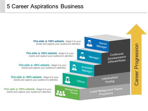 20 Career Aspirations Examples From Highly Successful Graduates ...
