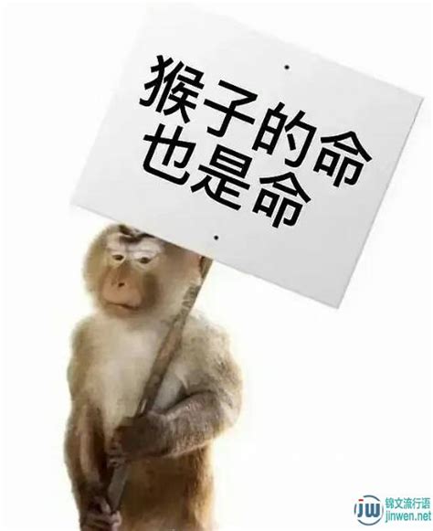 请问这种猴子的QQ表情叫什么，要去哪里找才有-这个猴子表情叫什么？