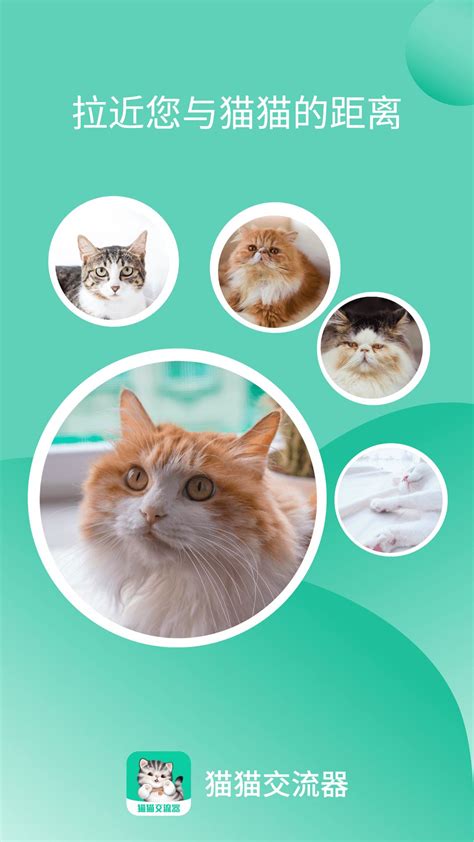 猫猫交流器app下载,猫猫交流器最新版app安卓下载 v3.3.3 - 浏览器家园