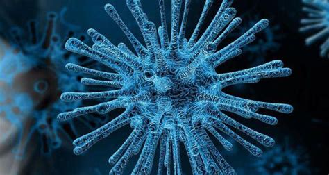 传播和感染更强的南非变异新冠病毒，在英国被发现，且再次变异