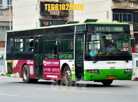 长沙15路_长沙15路公交车路线_长沙15路公交车路线查询_长沙15路公交车路线图