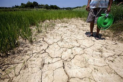 高清：湖南遭遇10年最严重旱灾_国内新闻_环球网