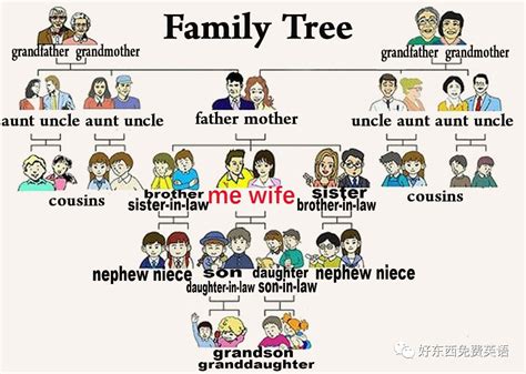 family是什么意思（关于family是什么意思讲解）_华夏智能网