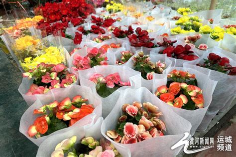 运城东湖早市：花卉市场春意浓 新年“一路生花”--黄河新闻网
