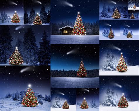 雪景与圣诞树摄影高清图片 - 爱图网设计图片素材下载