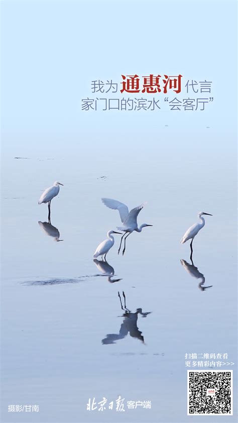 我家门前有条河，水晏河清看北京，精美海报来了_北京日报网