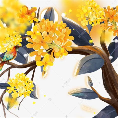 黄色盛开的桂花素材图片免费下载-千库网