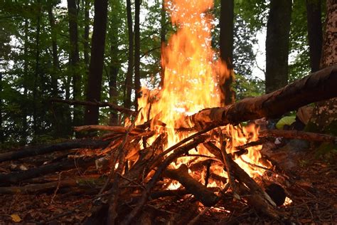 寓意火和木的图片,象征火木的图,五行属木火的风景图片_大山谷图库