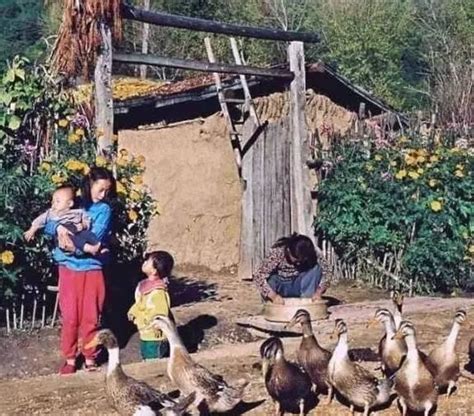 八十年代的农村生活