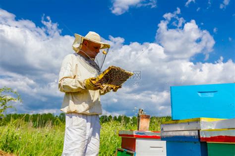 有的蜜蜂慢地飞到养蜂人那里高清图片下载-正版图片506180009-摄图网