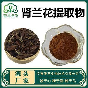 肾兰花图片