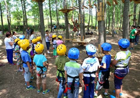 户外丛林穿越拓展设备儿童青少年森林探险闯关吊桥滑索爬网钻网-阿里巴巴