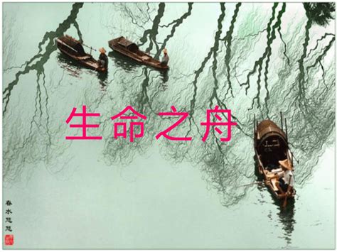《十年家国十年心》第96集《资水上的“生命之舟”》 - 益阳对外宣传官方网站