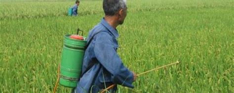 农药残留对食品安全的影响及对策_农业