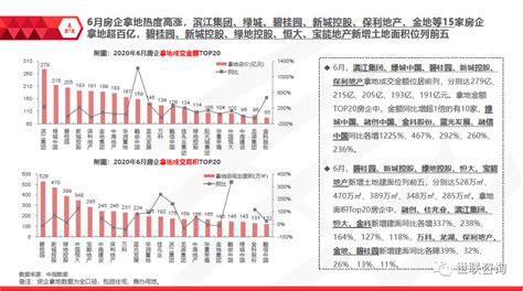 2020年中国房地产行业分析报告-市场供需现状与发展前景预测 - 中国报告网