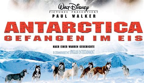 狗拉雪橇遇到雪崩的电影，拉雪橇的狗遇到雪崩的电影叫什么名-酷派宠物网