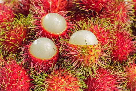 泰国水果新贵红毛丹上市 | 国际果蔬报道