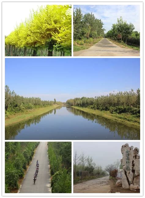 江苏这条高速长约126公里，有路段启动，预计2025年底前全线建成_宁盐_高速公路_南京