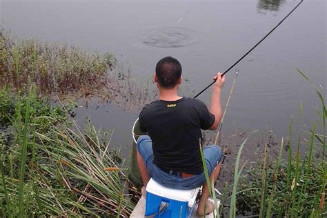 钓鱼技巧：早上出发晚上回家，野钓鲤鱼，只钓一天的打窝方式