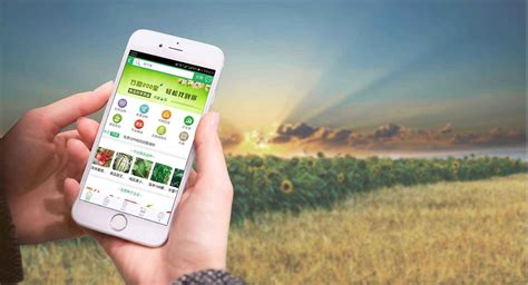 游仙区农业局开展2018年种子市场执法专项检查_简讯_资讯_种业商务网