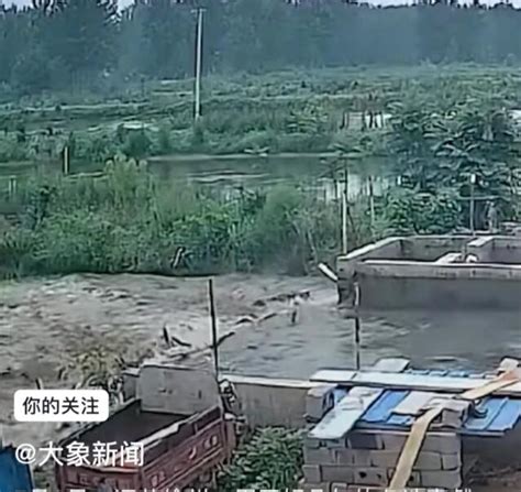 鱼池垮塌2万斤黑鱼涌入稻田 - 网络快讯