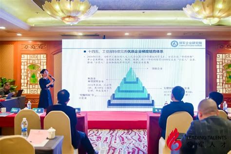 威创被授予“2021年广州市民营领军企业”称号 - 依马狮视听工场