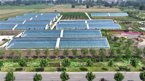 【高质高效】安新县：积极建设都市农业现代化示范区 - 中国网客户端