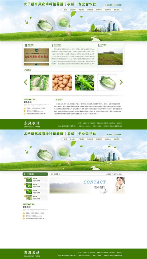 绿色的蔬菜合作社企业网站模板psd分层素材下载_墨鱼部落格