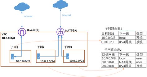 如何通过弹性公网IP或NAT网关访问公网-弹性IP-最佳实践 - 天翼云