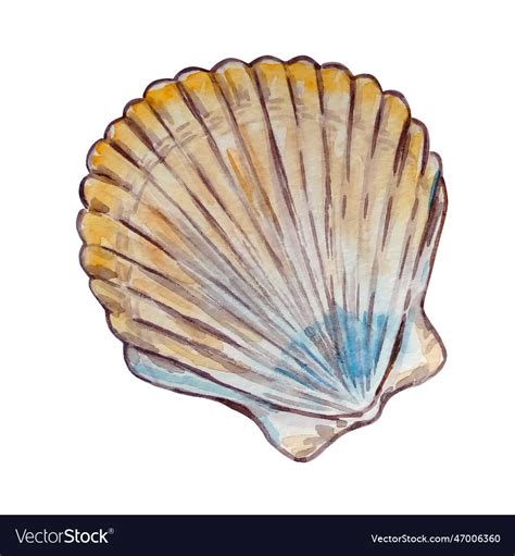 Watercolor colorful seashell hand drawn Royalty Free Vector