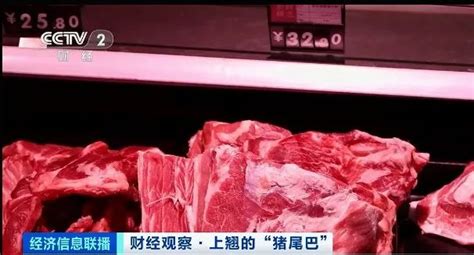 【种好中国粮 做优湖南饭】湘潭沙子岭猪：毛氏红烧肉背后的密码 - 要闻 - 湖南在线 - 华声在线