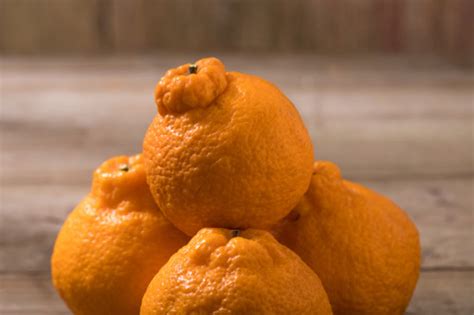 烤橘子趁热吃还是放凉吃 烤橘子可减轻感冒后咳嗽 | 说明书网