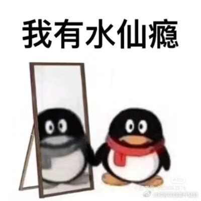 猹猹表情包图片