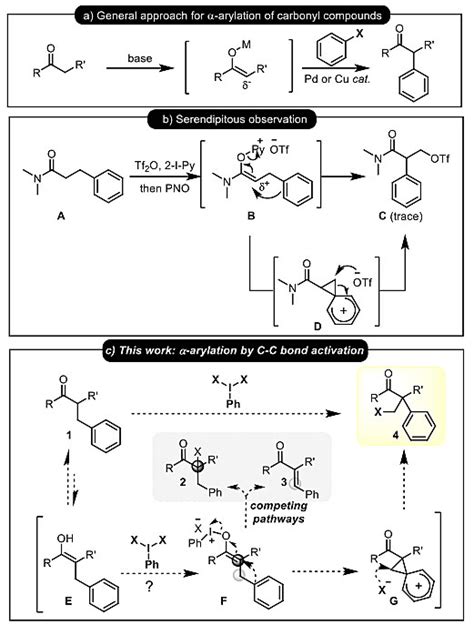过渡金属催化的酮羰基导向C—H键官能化反应进展